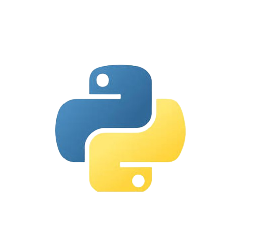 python language skill